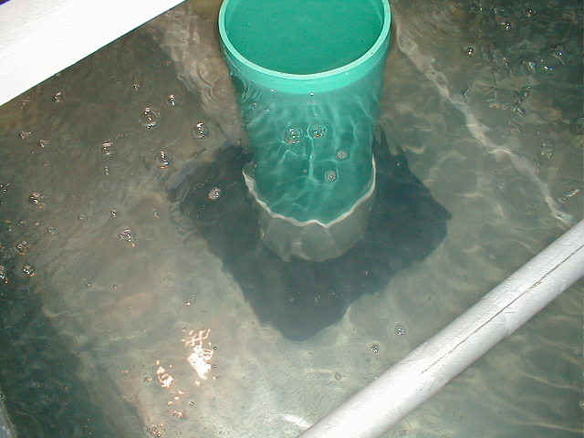 p9010034.jpg (63778 bytes)